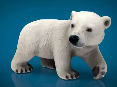 POLAR BEAR BABE Low-poly 3D model