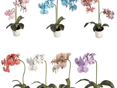 Orchids Flowers 3D model