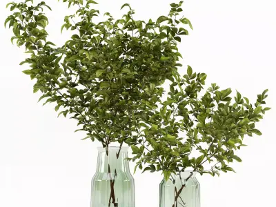 Branches in a vase 002 3D model