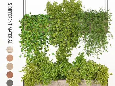 Indoor hanging plants - collection 01