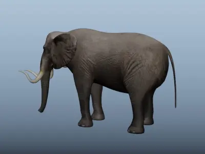 African Elephant Animated 3D model Low-poly 3D model