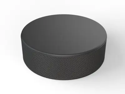 Hockey Puck 3D model