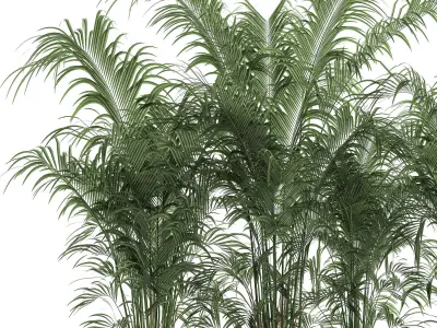 Decorative palm in a flowerpot 691 3D model