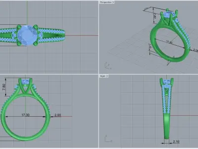  ring code 242 3D print model