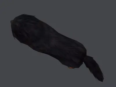 Tibetan Mastiff Dog Low-poly 3D model