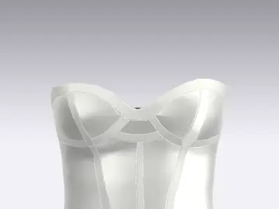  corset silk satin duchess cotton heavy twill fabric Low-poly 3D model