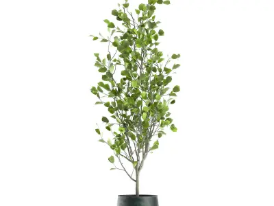 Decorative tree in a flowerpot for the interior 957 3D model