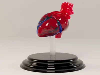 Decorate Heart 2 3D model