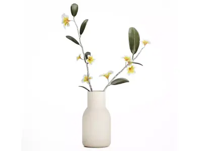 exotic bouquet of branches Plumeria frangipani in a vase 538 3D model