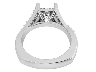 Princess Split  Shank Ring 3625 3D print model