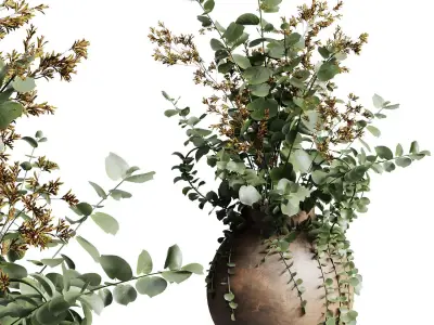 Indoor Plant 19 3D model