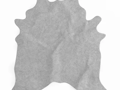 Brown And White Cowhide Rug 3D model