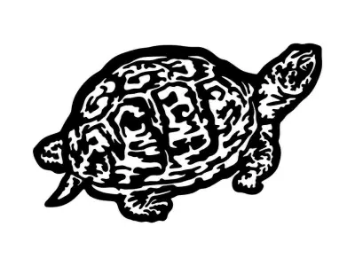 Turtle 2D Decor 3D print model