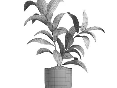indoor plant 47 3D model