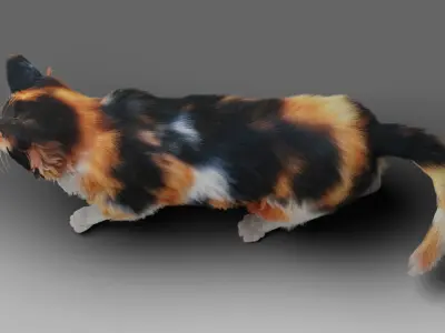 Fur Calico Cat V04 Rigged Low-poly 3D model