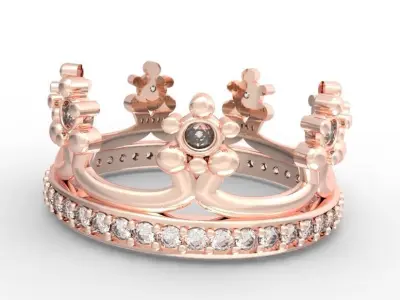 Ring crown 3D print model