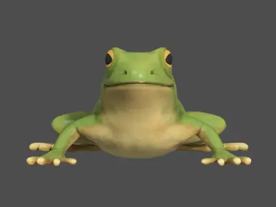 Tree frog Low-poly 3D model
