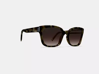 Aubrey Sunglasses in Marzipan Tortoise 3D model