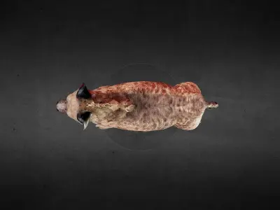 Hyena Spotted Animated PBR Low-poly 3D model