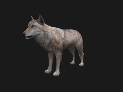 Wolf Game Model Low-poly 3D model