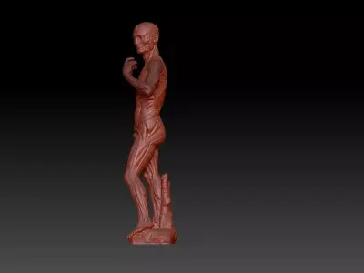 David muscle  3D print model