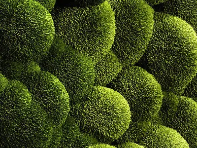 Moss wall 2 3D model