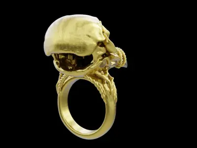 Bird Ring 3D print model