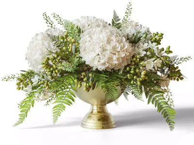 Flower Set 052 White Hydrangea and Olive 3D model