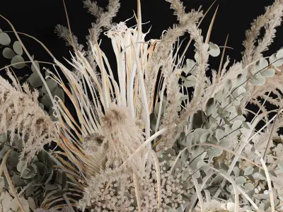 Hanging Installation Bouquet Of Dried Flowers Hydrangea pampas  3D model