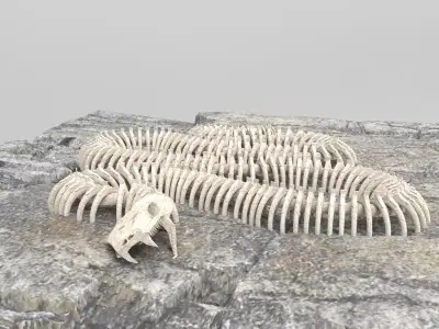 Giant Snake Skeleton  Low-poly 3D model