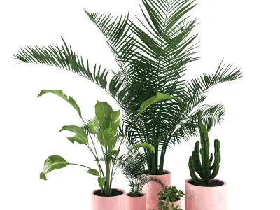 plants 08 3D model