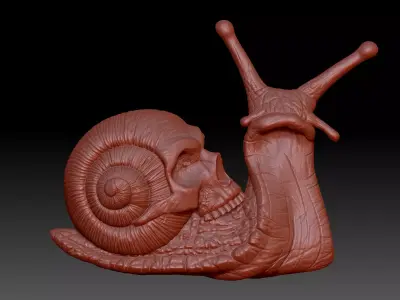 Snail skull 3D print model