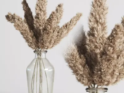 pampas dry plant Bouquet galss vase 14  Low-poly 3D model
