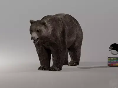 Bear - Rigged Blender 3d model 3D model