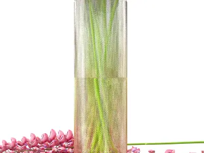 Bouquet of pink lupine flowers Lupinus 3D model