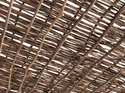 Ceiling wicker branch crooked 3D model