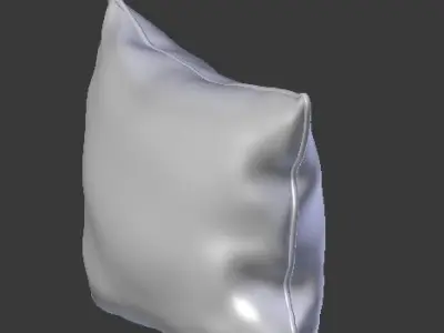 Piped Pillow 3D model