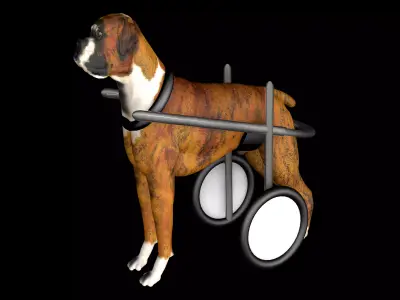 Dog Wheelchair 3D model