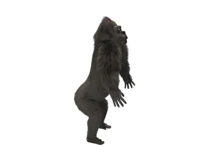 Stylized Gorilla Character Low-poly 3D model
