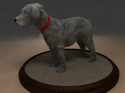 Miniature Schnauzer 3D model