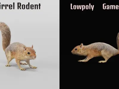 Fox Squirrel Rodent Low-poly 3D model