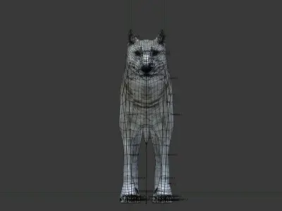 Gray wolf Low-poly 3D model purchase