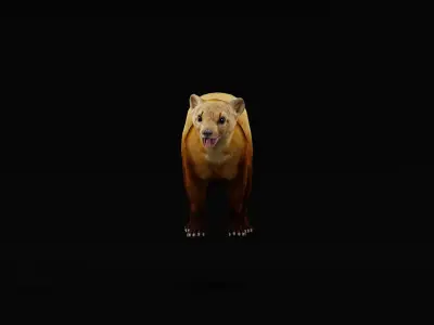 American Pine Marten Low-poly 3D model