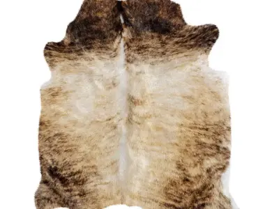 Animal skin rug 05 3D model