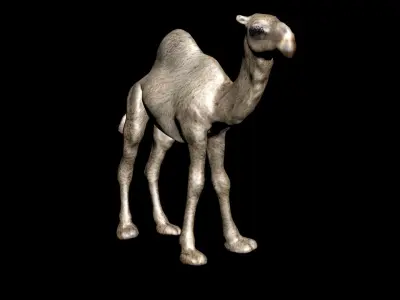 laos Dromedary 3D model