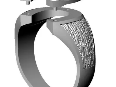 Luckie Horseshoe ring 3D print model