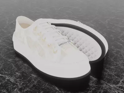 CHRISTIAN DIOR 3D SHOES - WHITE Low-poly 3D model