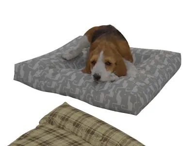 Beagle Dog Bed 3D model
