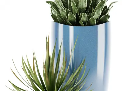 Plants collection 99 Awesomeplanters 3D model