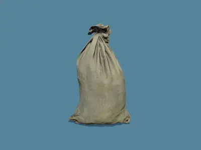 3D Scan Old Bag 02 Free low-poly 3D model